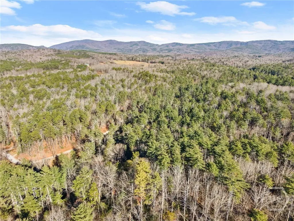 0 Shoal Creek Road Clarkesville GA 30523