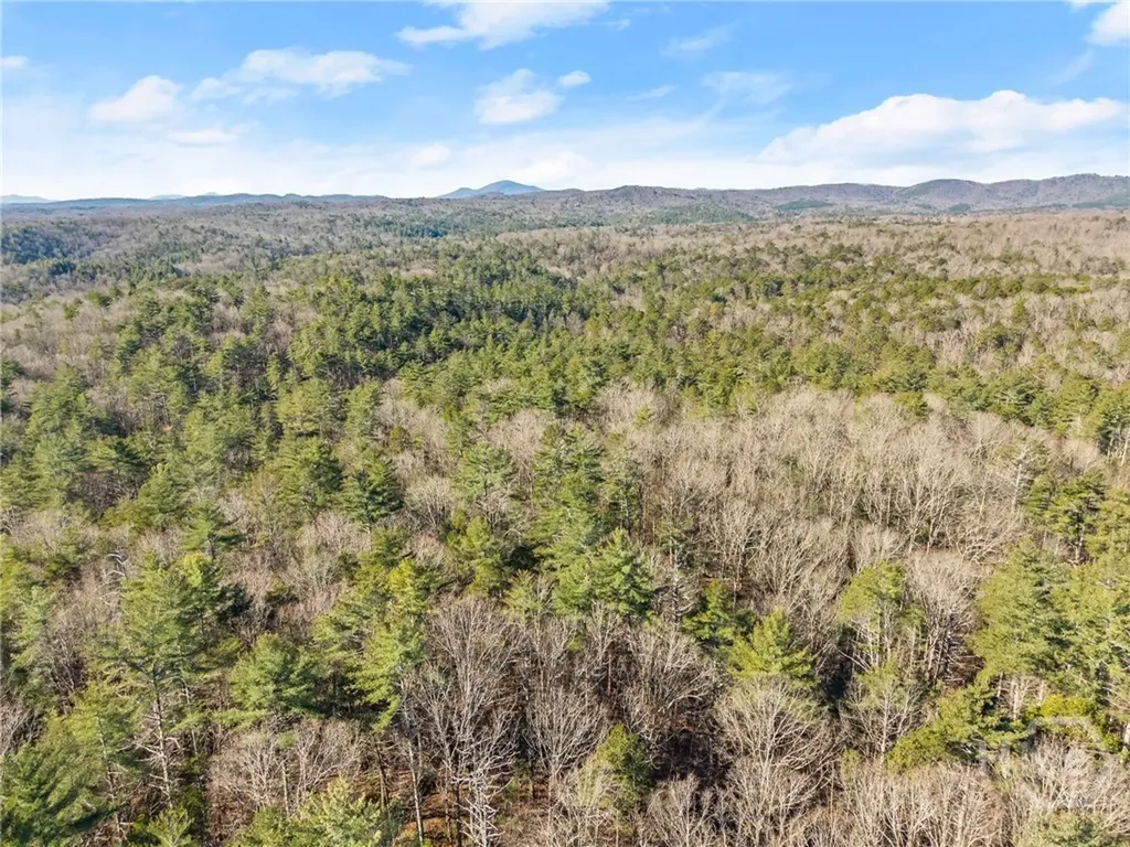 0 Shoal Creek Road Clarkesville GA 30523