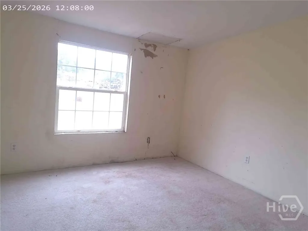 68 Pine Tar Lane NE Ludowici GA 31316