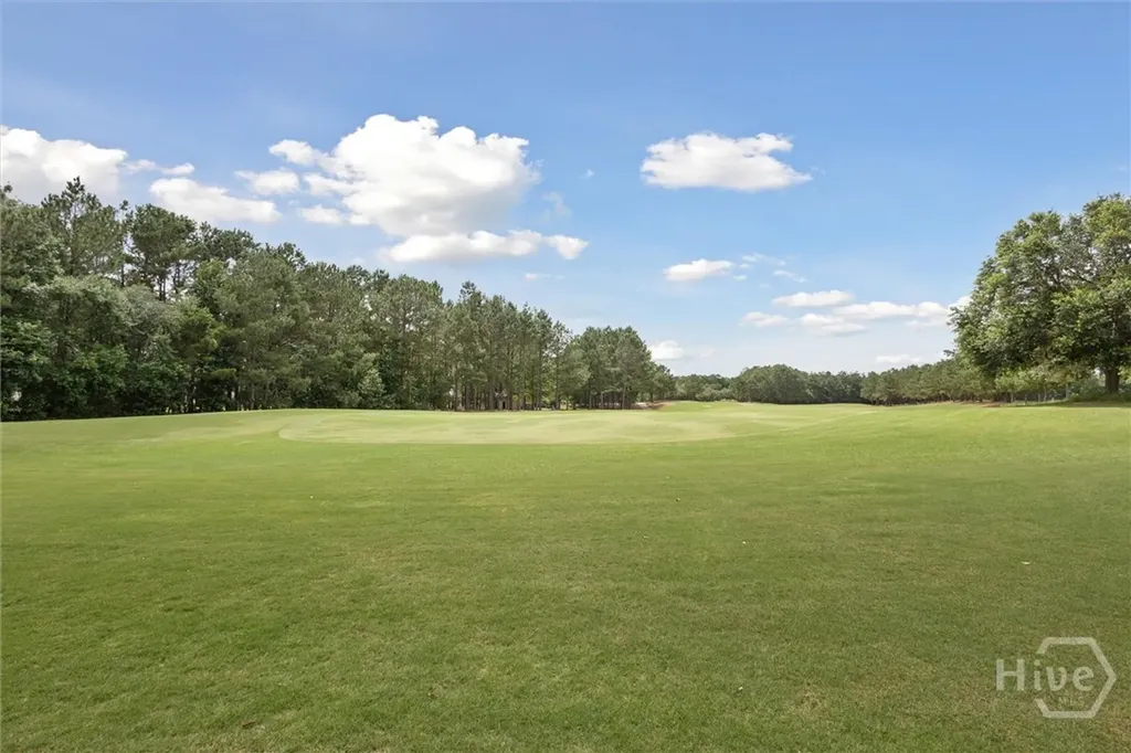 195 Holloway Hill Pooler GA 31322