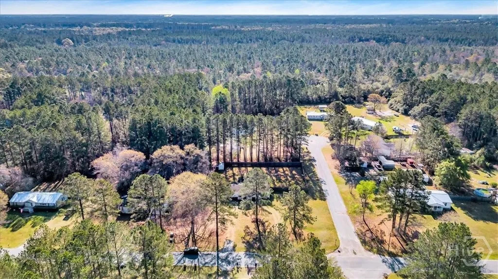 207 Southern Charm Way Guyton GA 31312