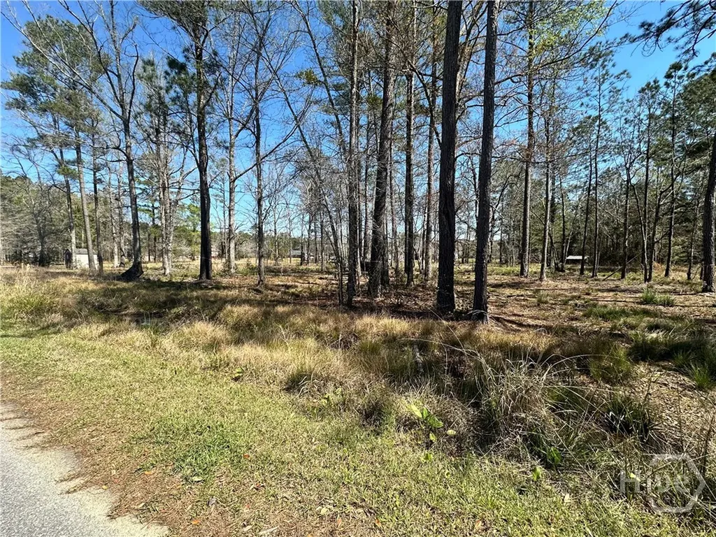 102 Trail S Midway GA 31320