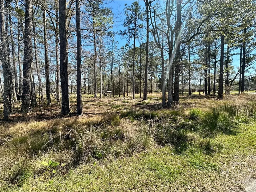 102 Trail S Midway GA 31320