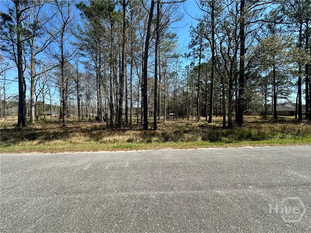 102 Trail S Midway GA 31320