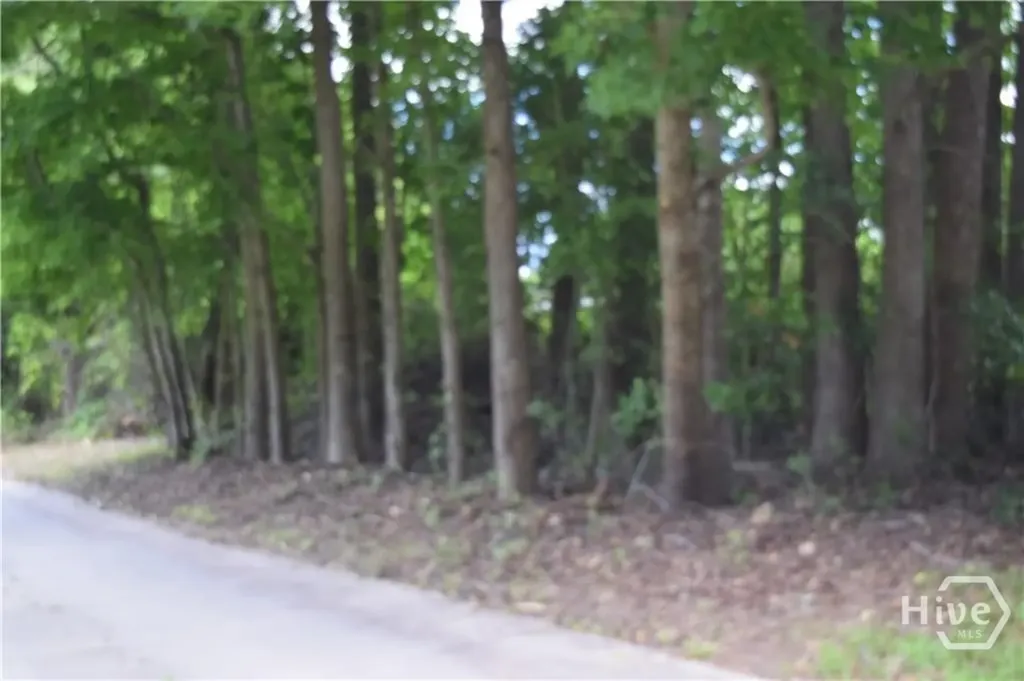 102 Trellis Way Savannah GA 31419