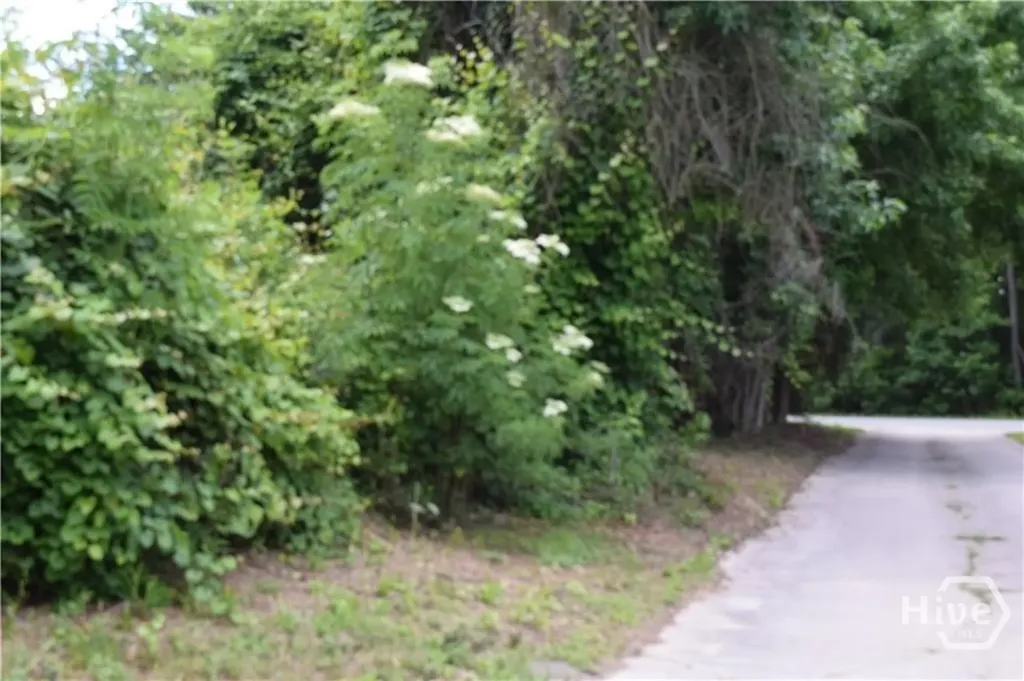 102 Trellis Way Savannah GA 31419