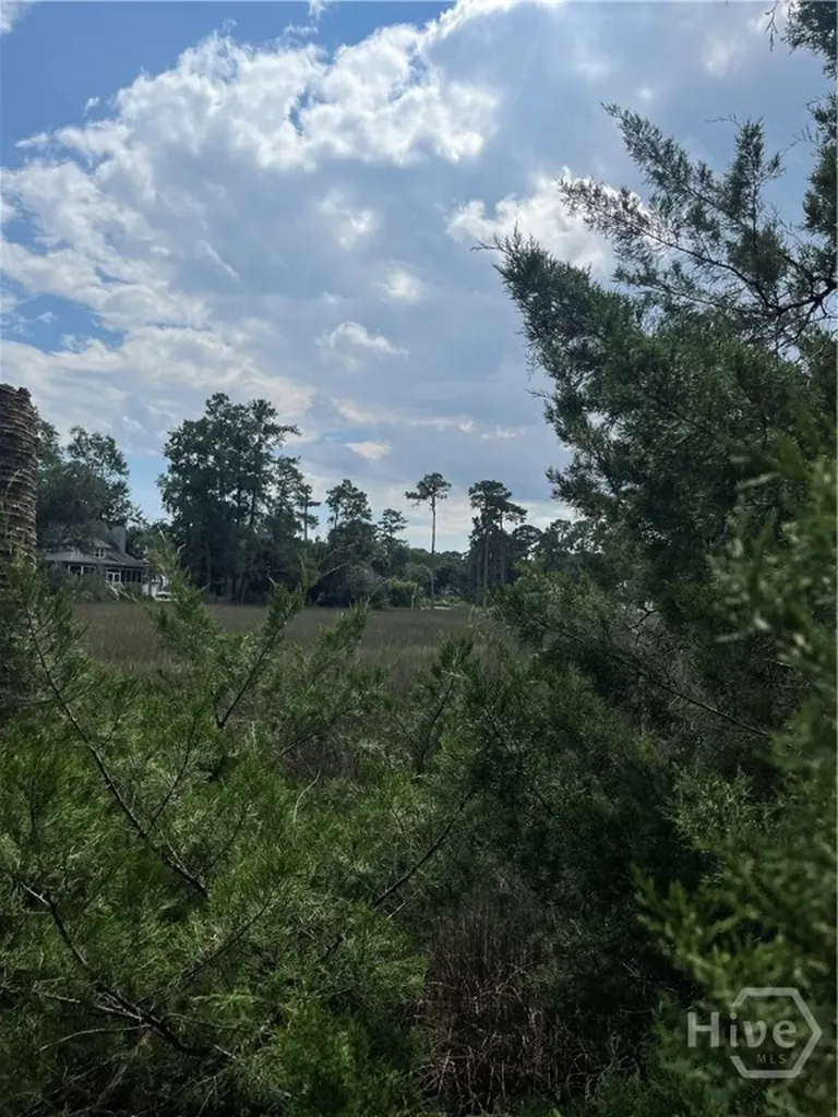 0 Perry Cove Savannah GA 31410
