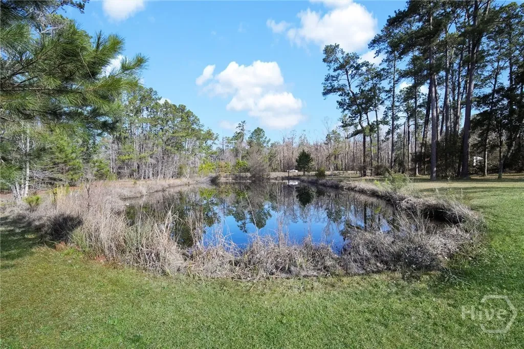 2060 Us Highway 80 Highway Bloomingdale GA 31302