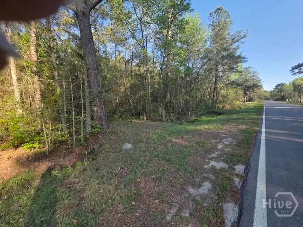0000 Bill Carter Road Midway GA 31320