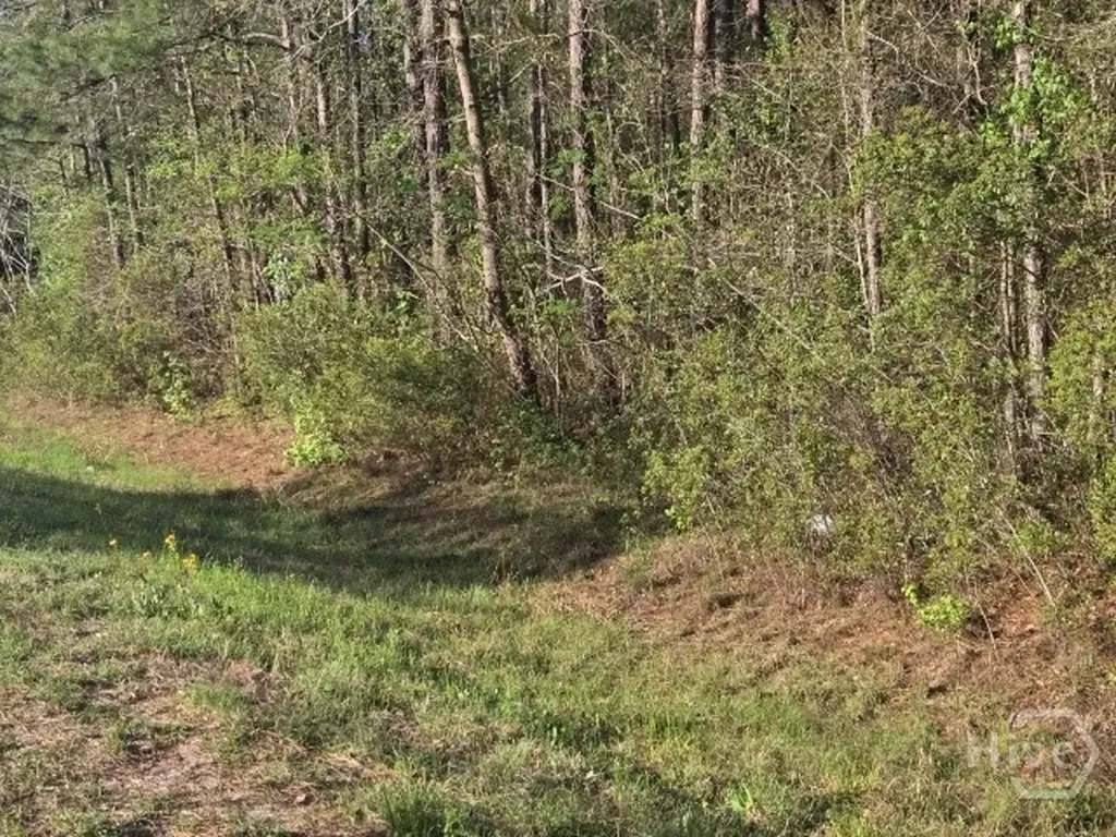 0000 Bill Carter Road Midway GA 31320