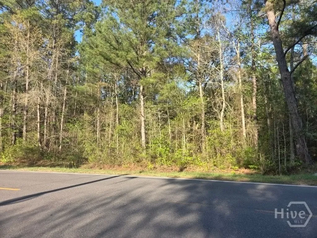 0000 Bill Carter Road Midway GA 31320