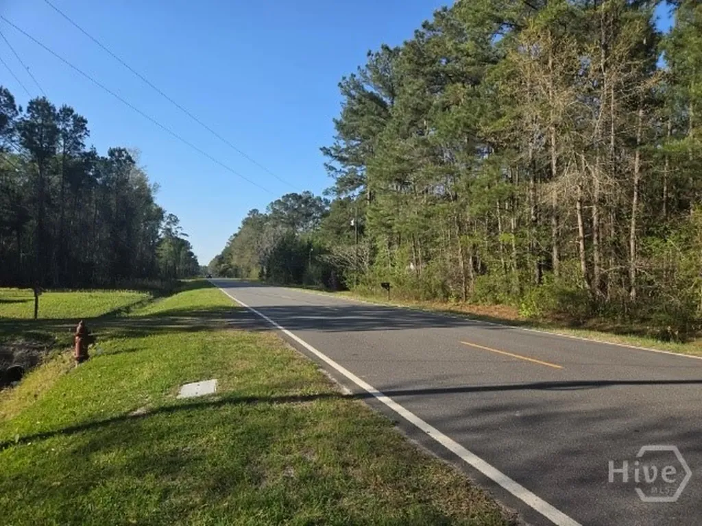 0000 Bill Carter Road Midway GA 31320