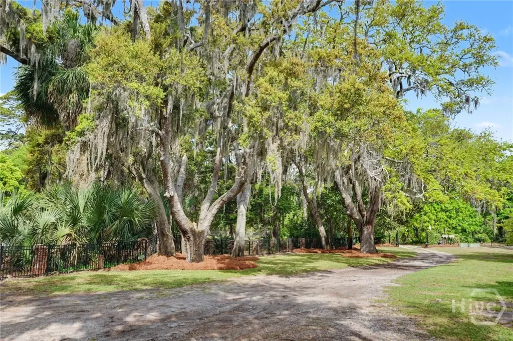2238 Cohen Street Savannah GA 31410