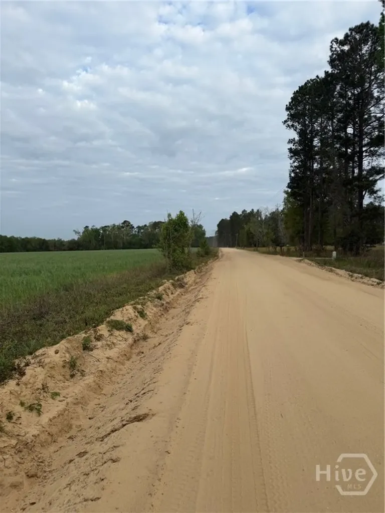 01 Springfield Egypt Road Springfield GA 31329