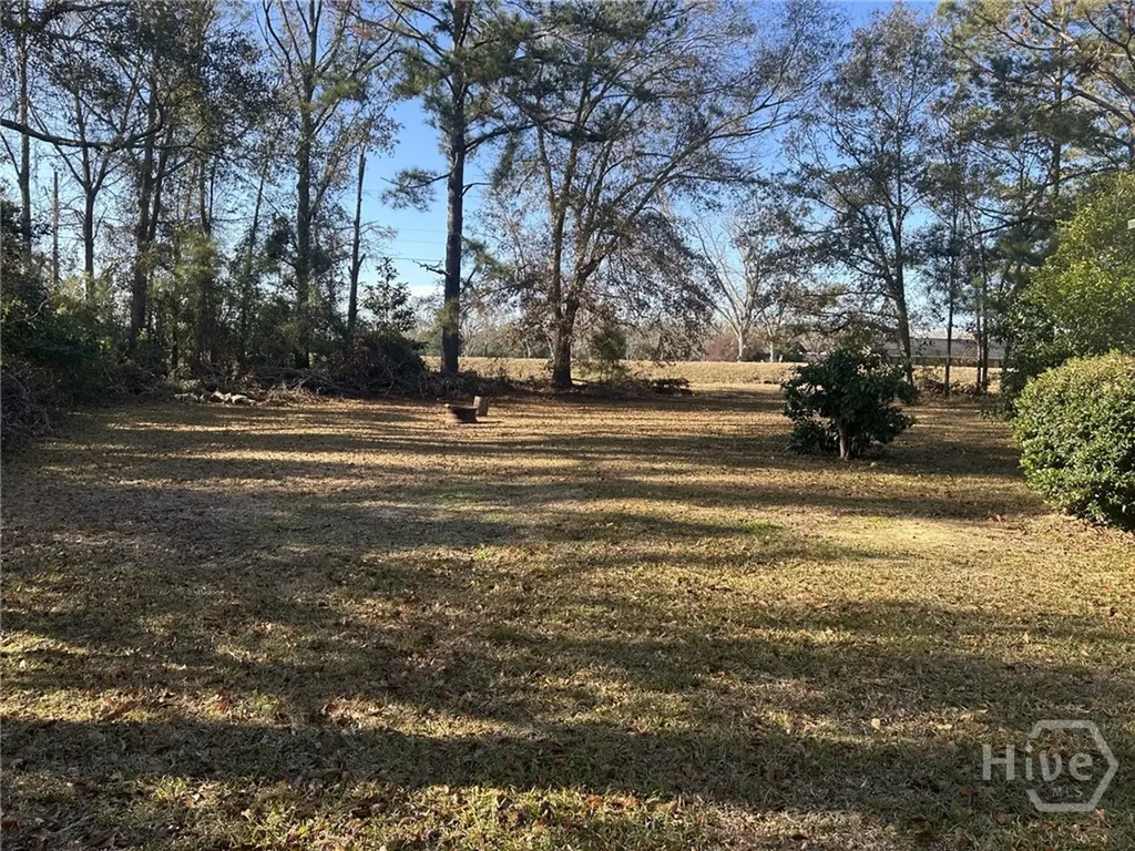 437 Burkhalter Circle Claxton GA 30417