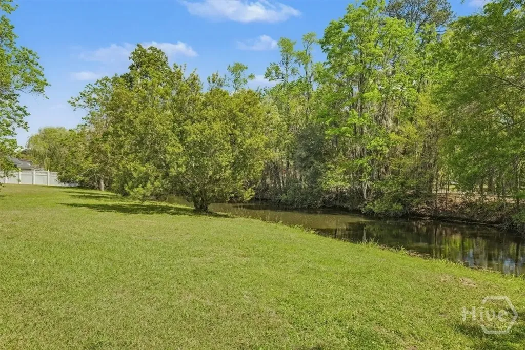346 Belle Grove Circle Richmond Hill GA 31324