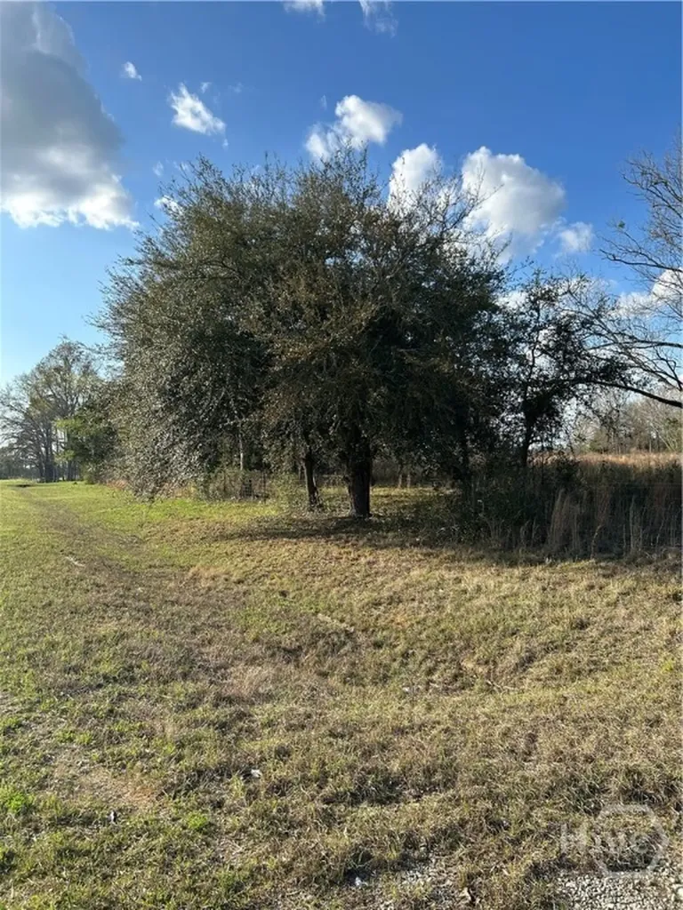 0 Scott's Store Road Millen GA 30442