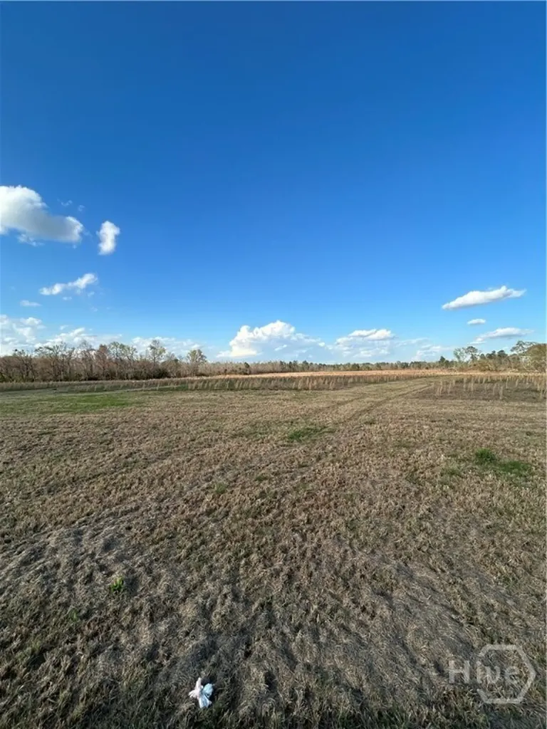 0 Scott's Store Road Millen GA 30442