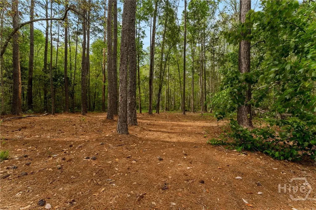 140 Huger Street Rincon GA 31326