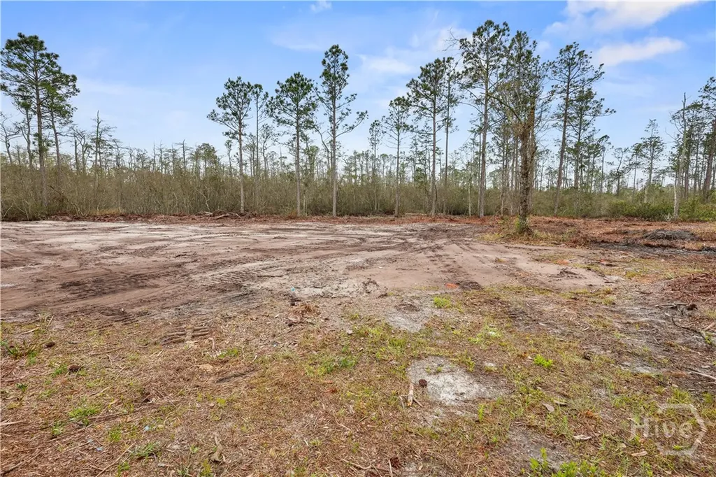1795 Wilkinson Road NE Ludowici GA 31316
