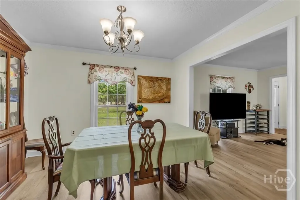 352 Oak Hampton Road Fleming GA 31309