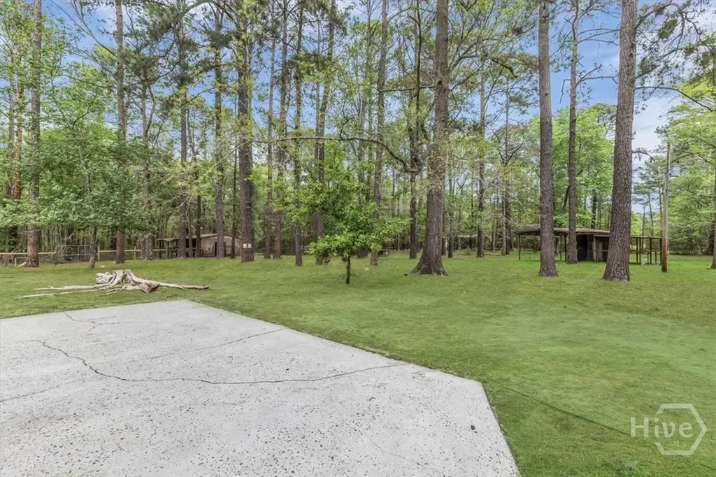 352 Oak Hampton Road Fleming GA 31309