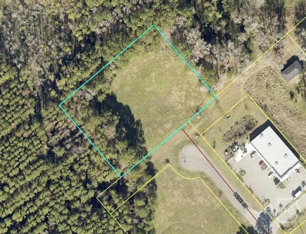 50 Wise Court Richmond Hill GA 31324