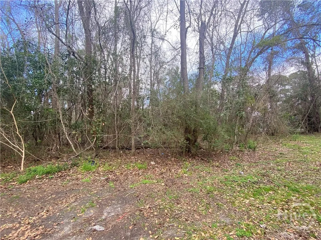 000 Toomer Avenue Savannah GA 31405