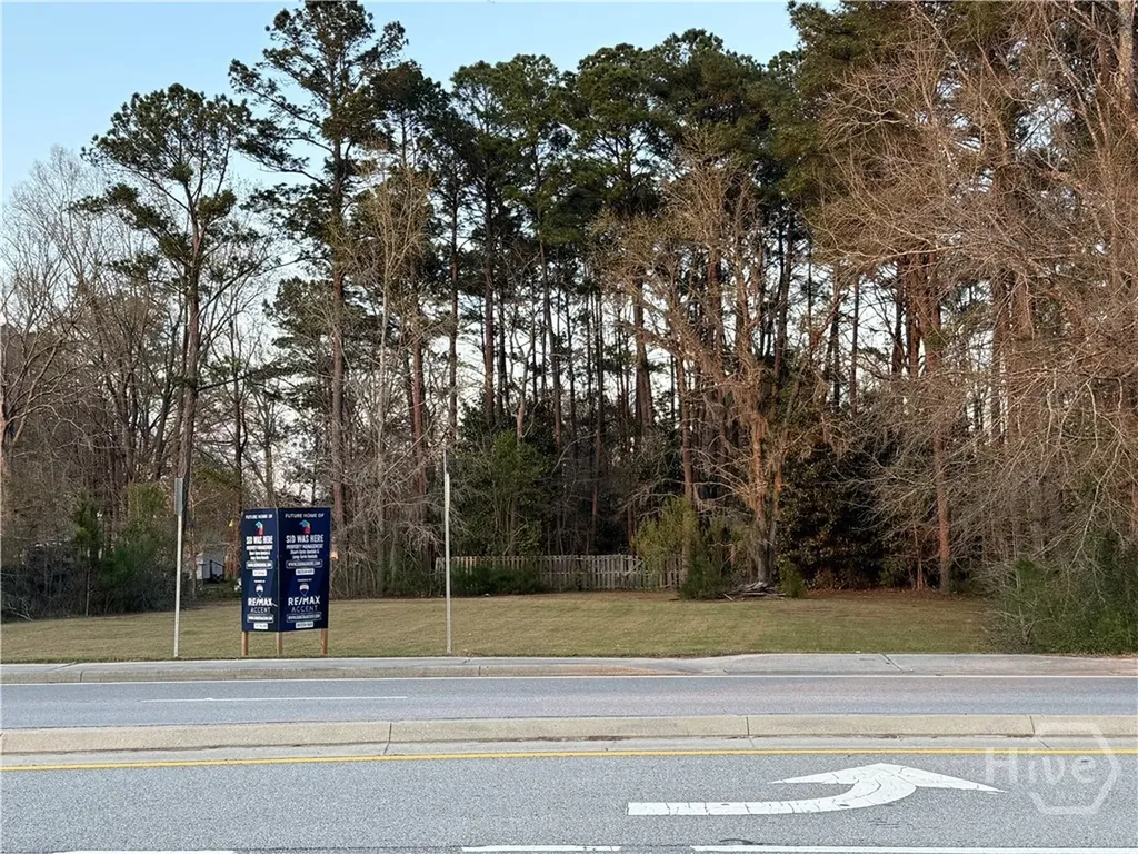 8805 Ford Avenue Richmond Hill GA 31324