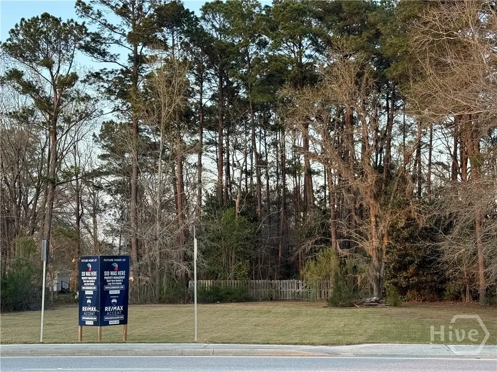 8805 Ford Avenue Richmond Hill GA 31324