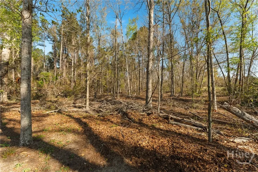 1569 Pond View Road Metter GA 30439