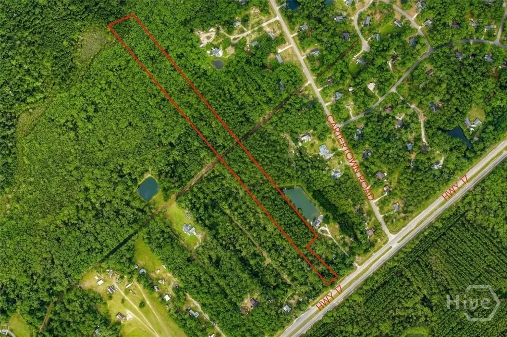 8454 Ga 17 Highway Richmond Hill GA 31324