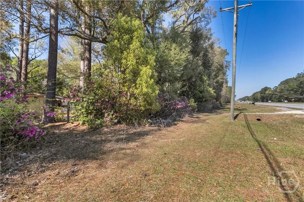 8454 Ga 17 Highway Richmond Hill GA 31324