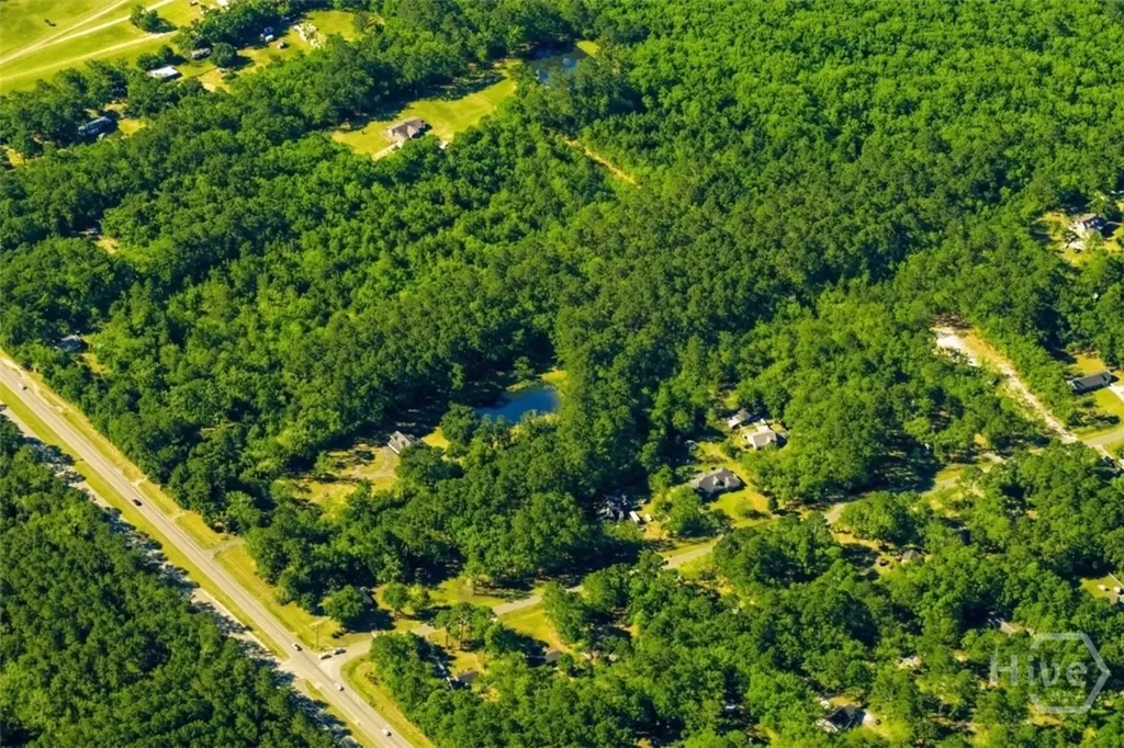 8454 Ga 17 Highway Richmond Hill GA 31324