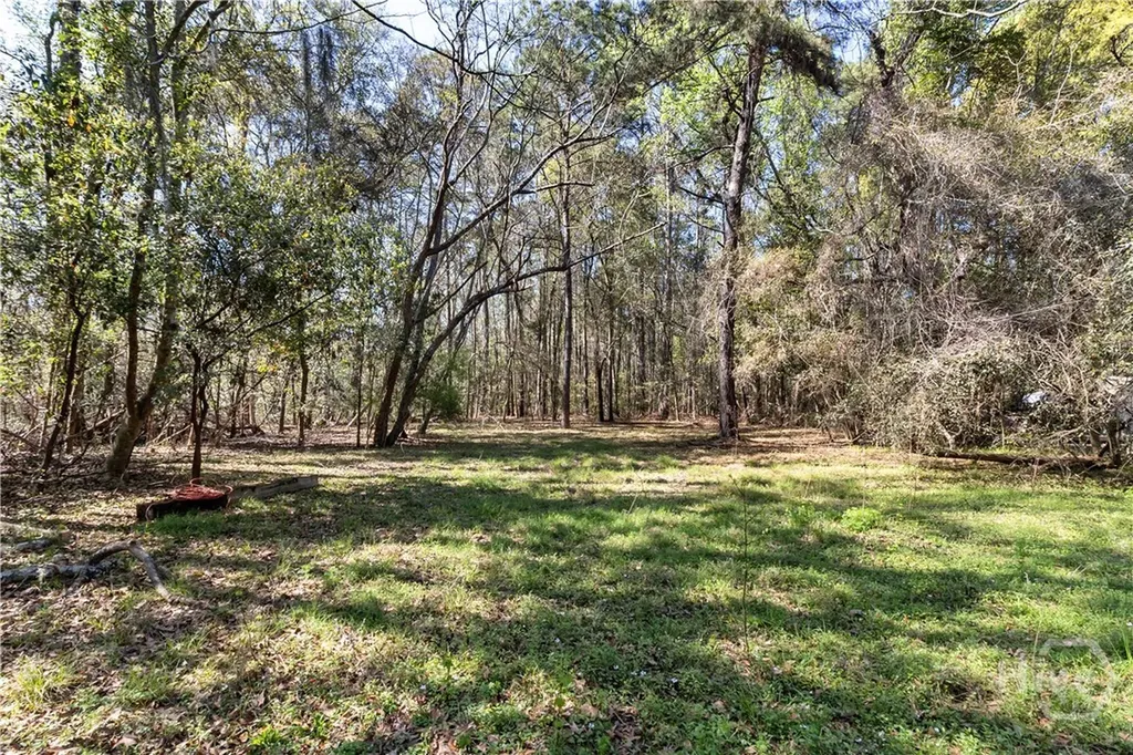 8454 Ga 17 Highway Richmond Hill GA 31324