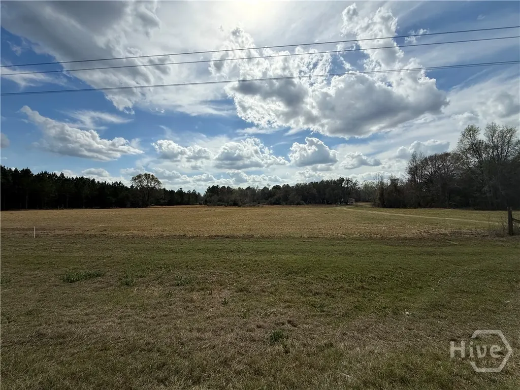 997 NE Darwel Long Road Ludowici GA 31316