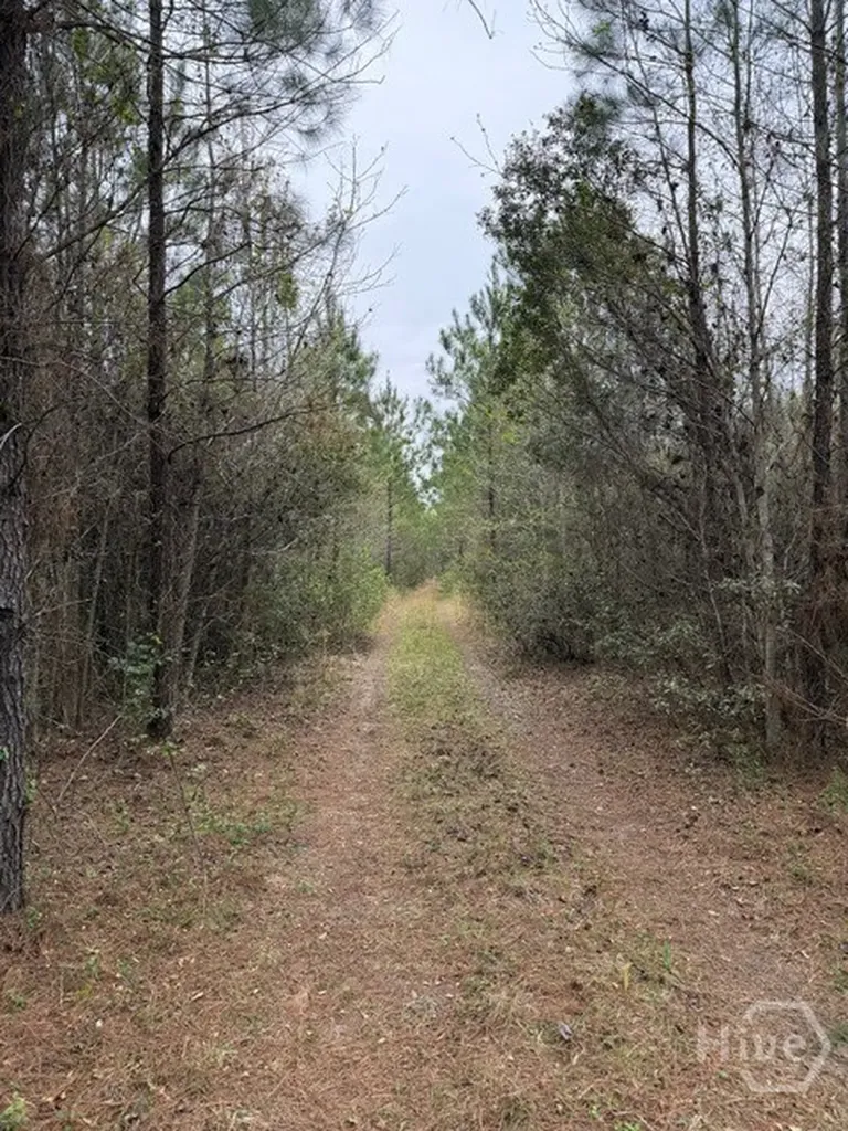 001 Race Path Rincon GA 31326
