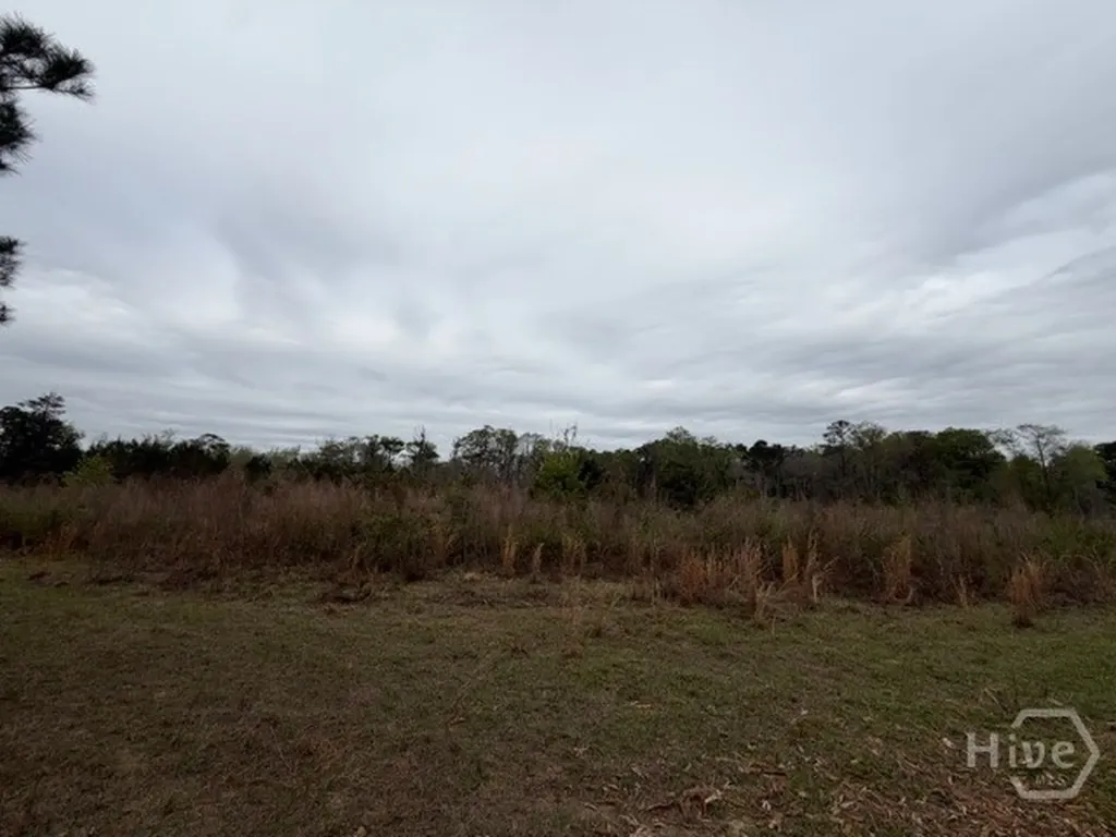 001 Race Path Rincon GA 31326