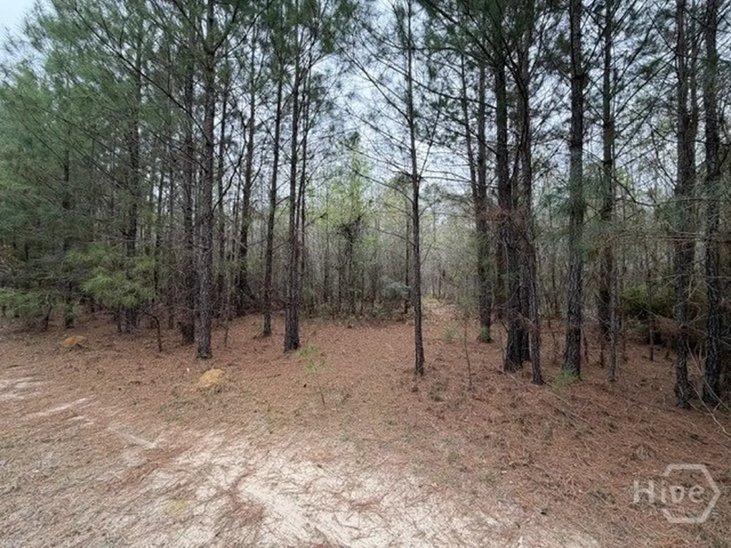 001 Race Path Rincon GA 31326