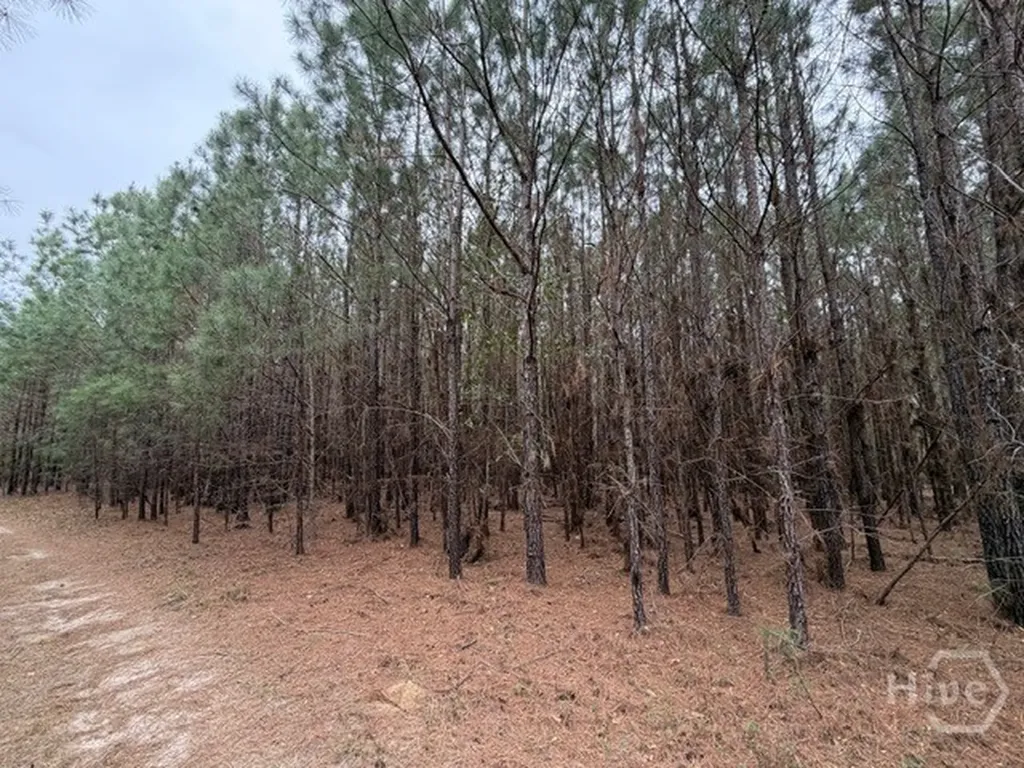 001 Race Path Rincon GA 31326