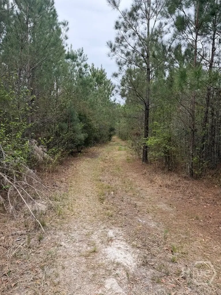 001 Race Path Rincon GA 31326