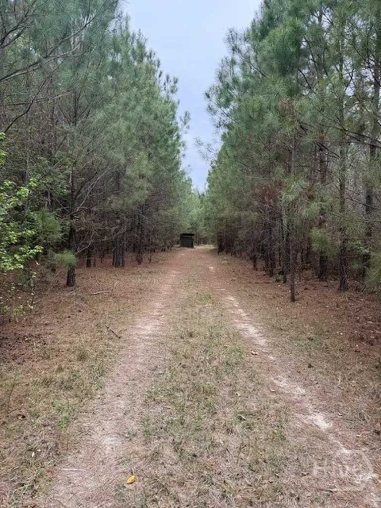 001 Race Path Rincon GA 31326