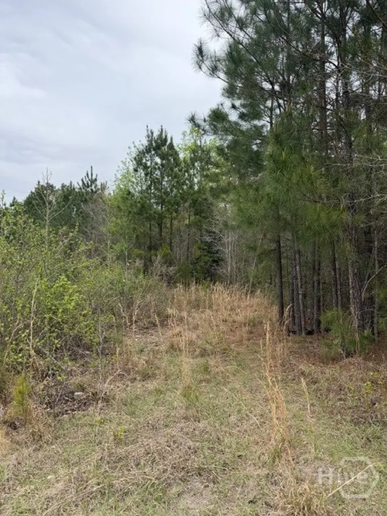 001 Race Path Rincon GA 31326