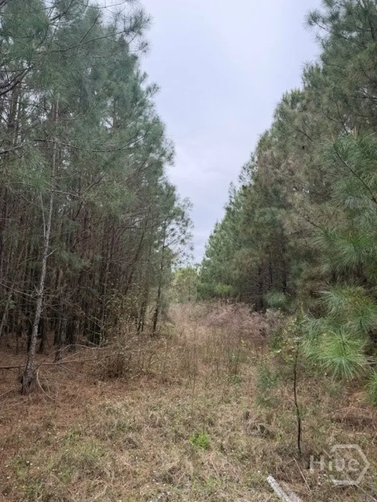 001 Race Path Rincon GA 31326