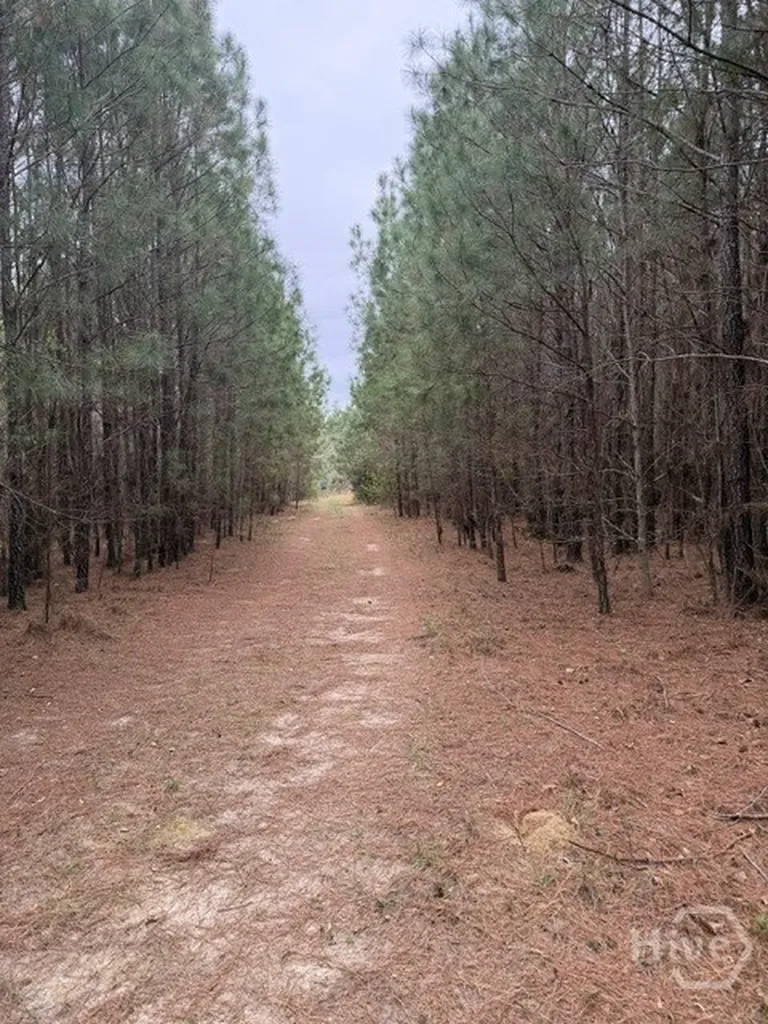 001 Race Path Rincon GA 31326