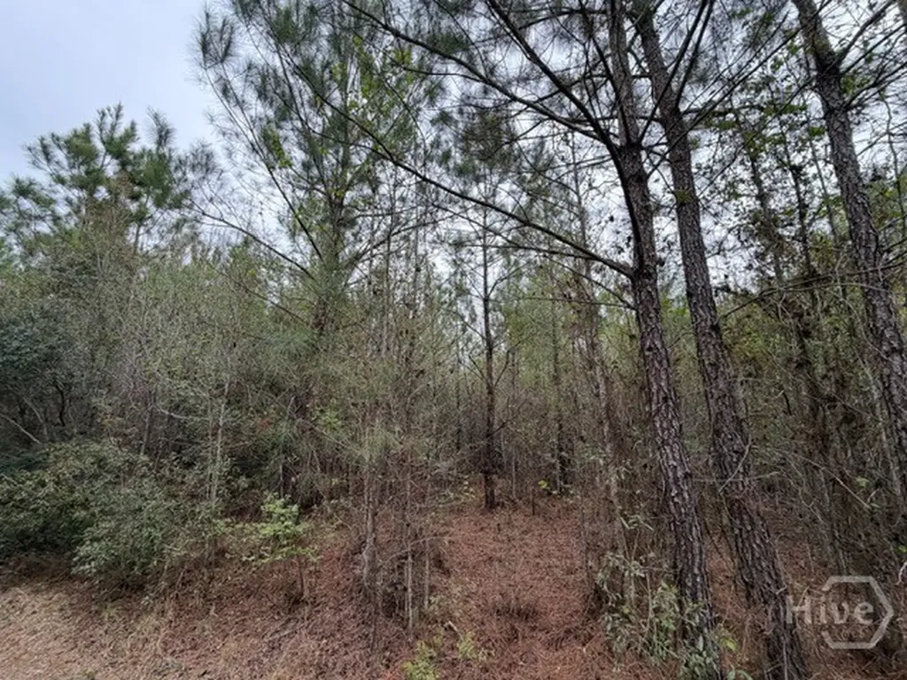001 Race Path Rincon GA 31326