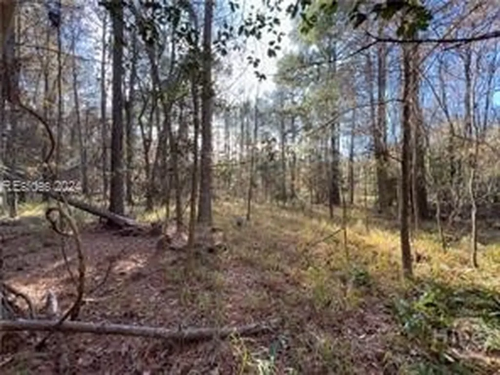 4637 Wire Road Summerville SC 29485