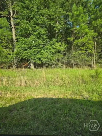 3131 Okatie Highway Bluffton SC 29910
