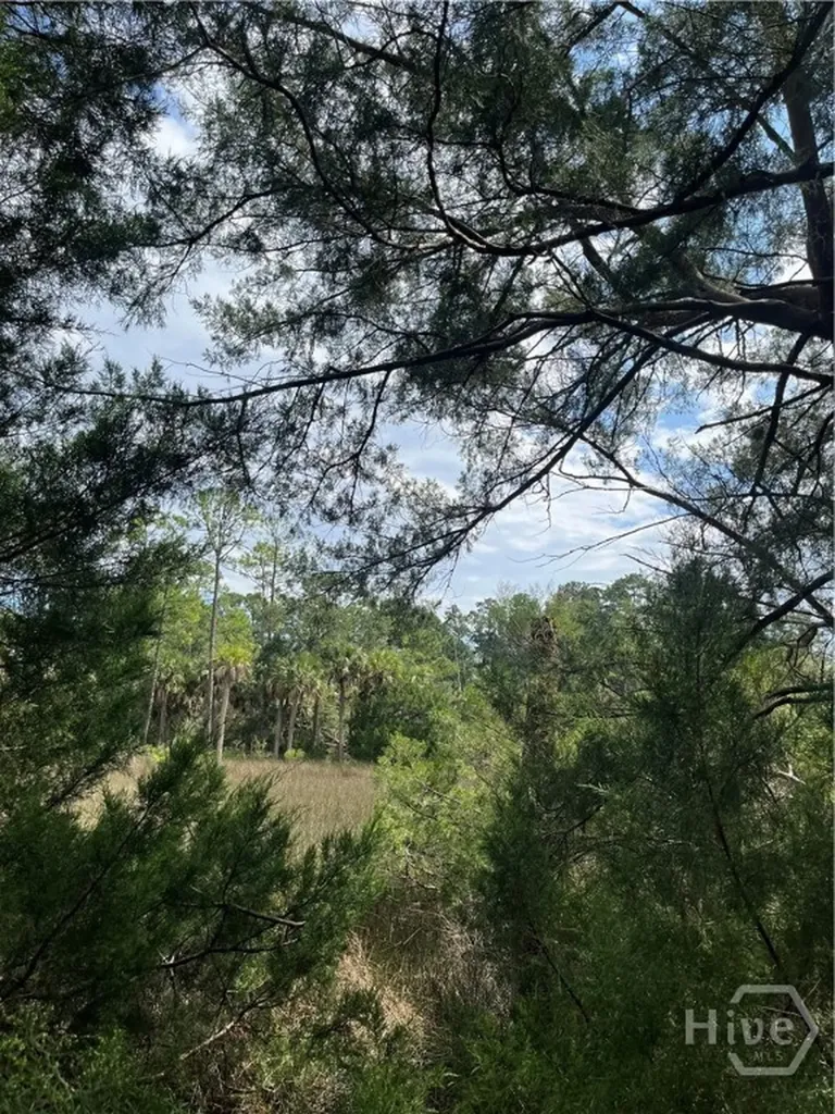 00 Perry Cove Savannah GA 31410