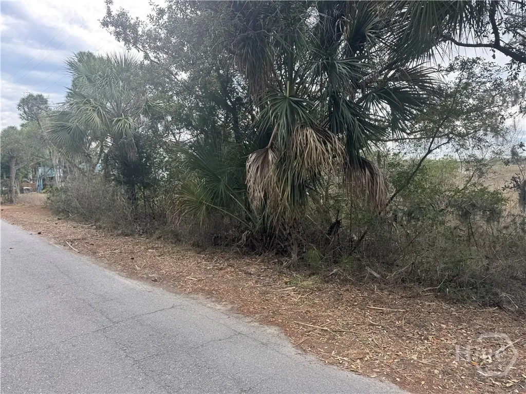 139 S Campbell Avenue Tybee Island GA 31328